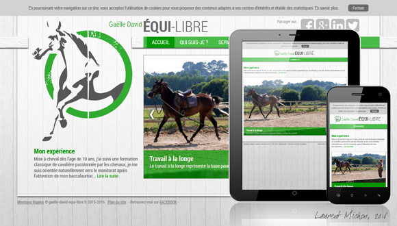 Site web de Gaëlle DAVID - EQUI-LIBRE, monitrice indépendante en équitation